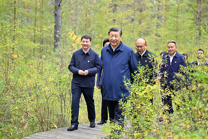 9月6日至8日，中共中央總書記、國(guó)家主席、中央軍委主席習(xí)近平在黑龍江考察。這是6日下午，習(xí)近平在大興安嶺地區(qū)漠河市漠河林場(chǎng)自然林區(qū)考察